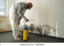 Best Emergency Mold Remediation  in Jeannette, PA